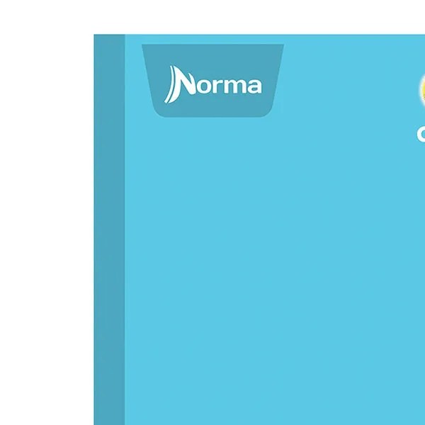 CUADERNO PROF. COLOR NORMA 581282 C5MM COS. 100H. PZA